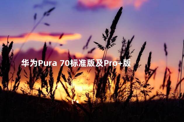 华为Pura 70标准版及Pro+版开售
